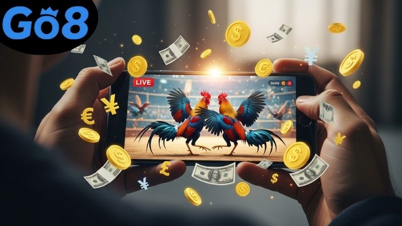 coi-da-ga-thomo-ngay-hom-nay