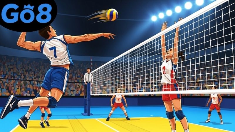 lich-thi-dau-bong-chuyen-hom-nay